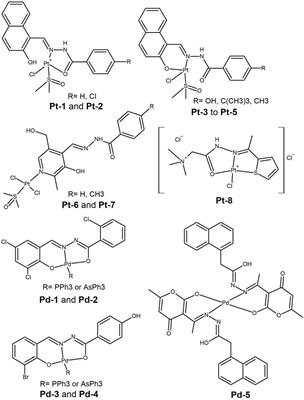 A review of hydrazide-hydrazone metal complexes’ antitumor potential